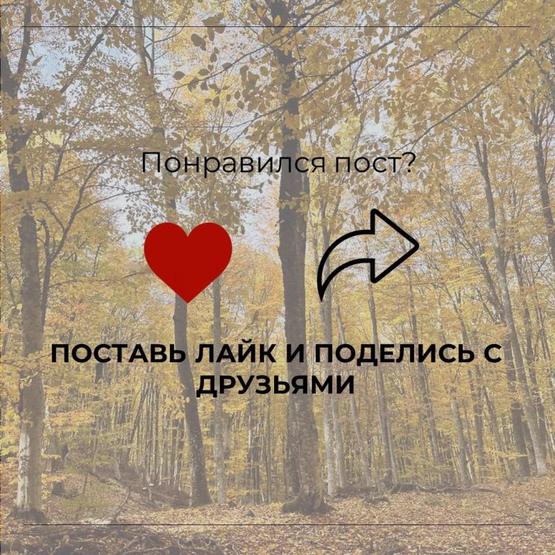 ����������� �������� �������� � ��������� �������� ����� �������� ������� ��������������� �������-�������������� ������� �������������� ������� ������������ ������