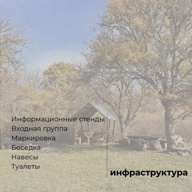 ����������� �������� �������� � ��������� �������� ����� �������� ������� ��������������� �������-�������������� ������� �������������� ������� ������������ ������