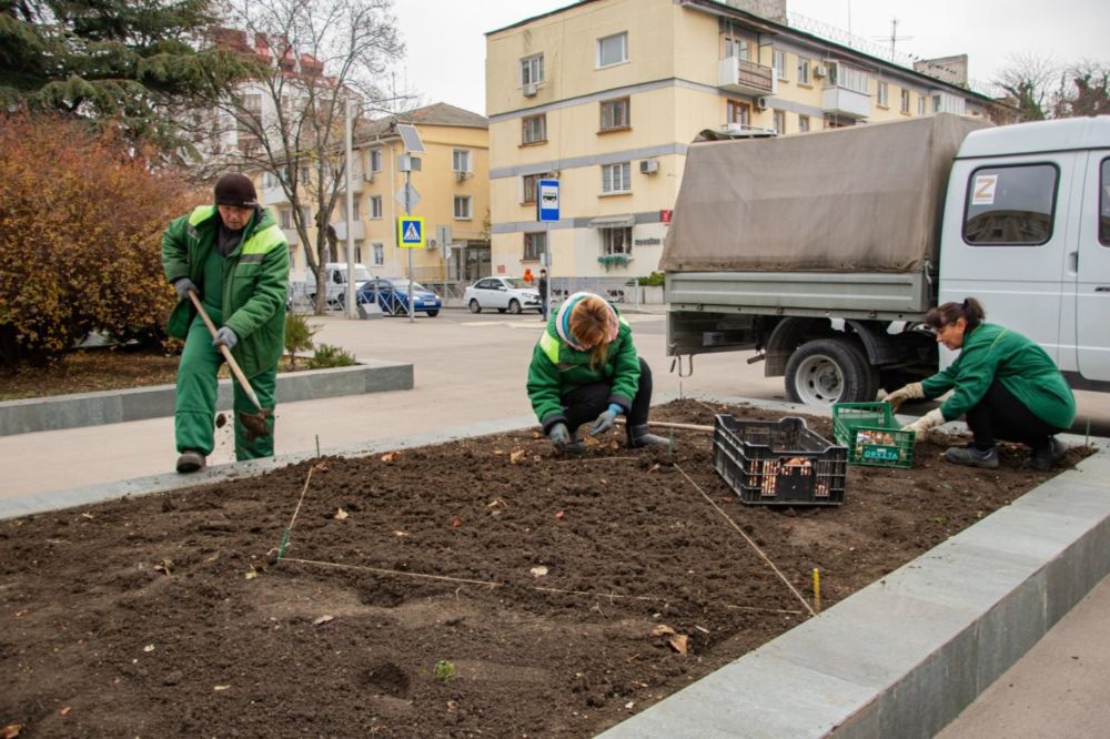 Тюльпаны Купить В Твери В Горзеленхозе