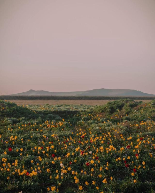       ,     ,      ,    , , ,   