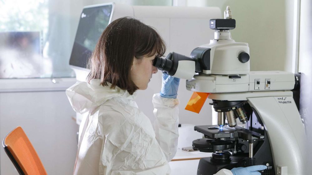 ���� �� ������ ��������� ����������������� � �����