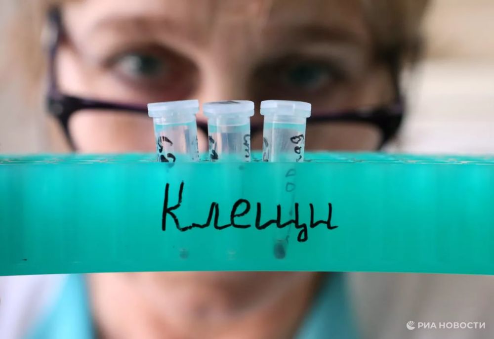 � ���� ���� ����� � ����� �������������� ������ ��������