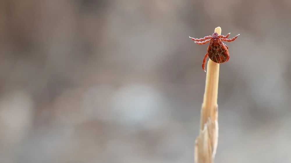 ��-�� ������ ���� ����� � ����� ����� ���������������� ������ �����