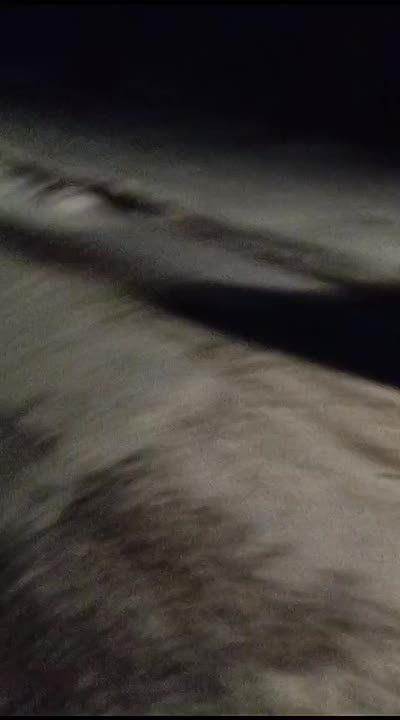  :      ,    !