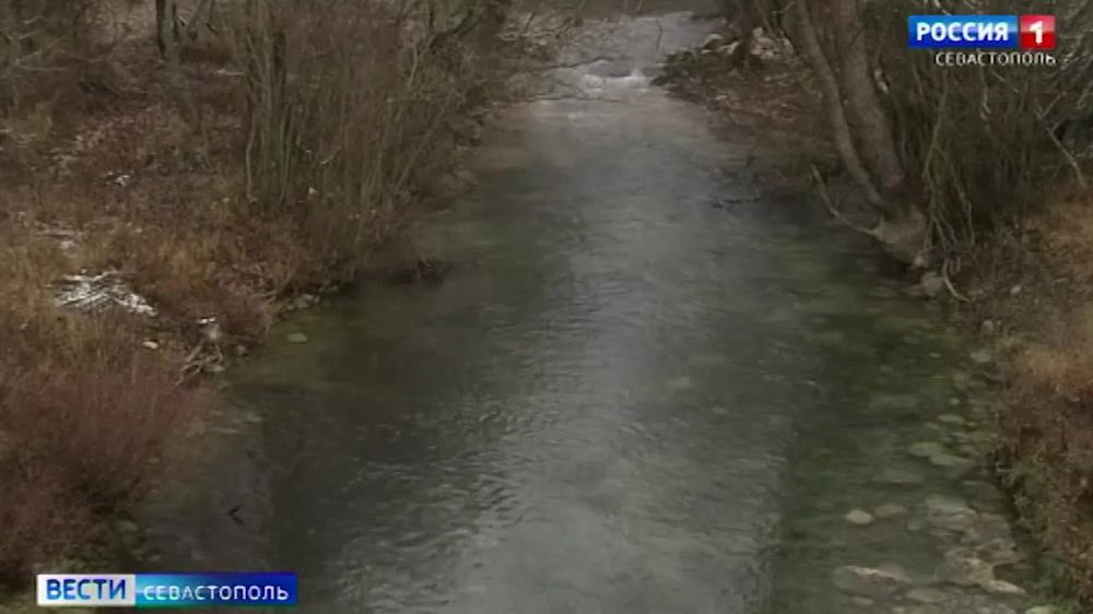 ������ ����������� ����������� ������������ ���������� ������� ���� �����