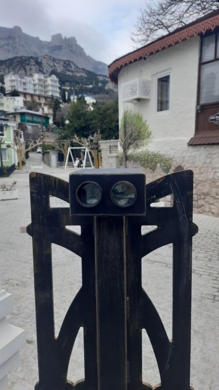   :     