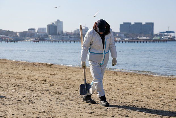 ����: ����������� �������� ������ �� ������ ���� ����� ����� ��������� � �����