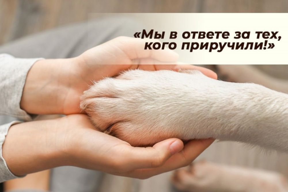     ,  !