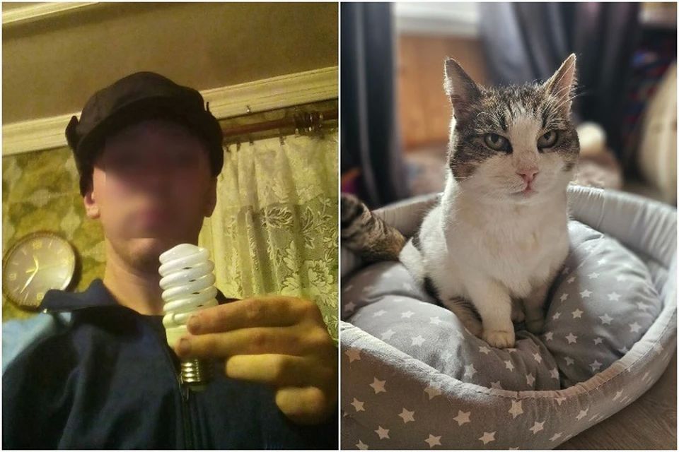 ,     ,     