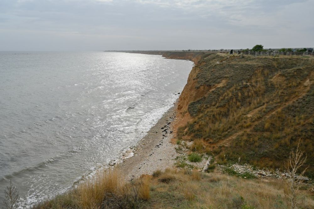    1 :   