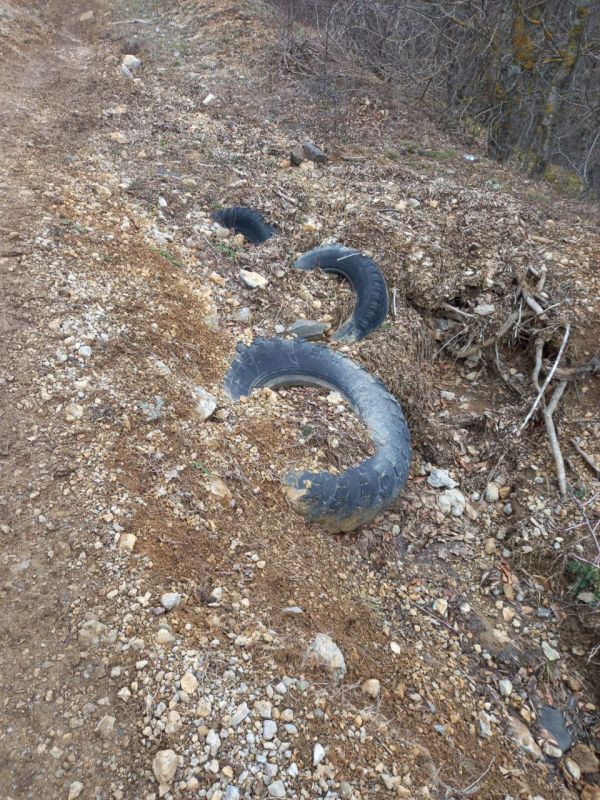 Сотрудники Алуштинского и Белогорского лесхозов провели уборку мусора на территориях Алуштинского и Судакского лесничеств Сотрудники Алуштинского и Белогорского лесхозов провели уборку мусора на территориях Алуштинского и Судакского лесничеств