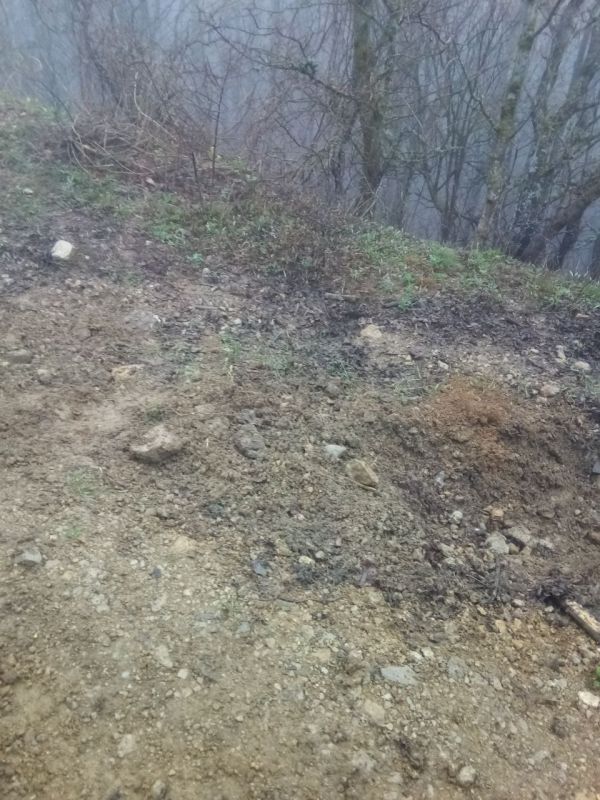 Сотрудники Алуштинского и Белогорского лесхозов провели уборку мусора на территориях Алуштинского и Судакского лесничеств Сотрудники Алуштинского и Белогорского лесхозов провели уборку мусора на территориях Алуштинского и Судакского лесничеств