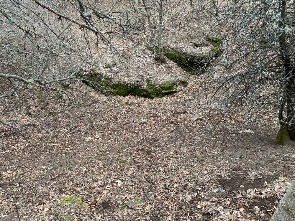Сотрудники Алуштинского и Белогорского лесхозов провели уборку мусора на территориях Алуштинского и Судакского лесничеств Сотрудники Алуштинского и Белогорского лесхозов провели уборку мусора на территориях Алуштинского и Судакского лесничеств
