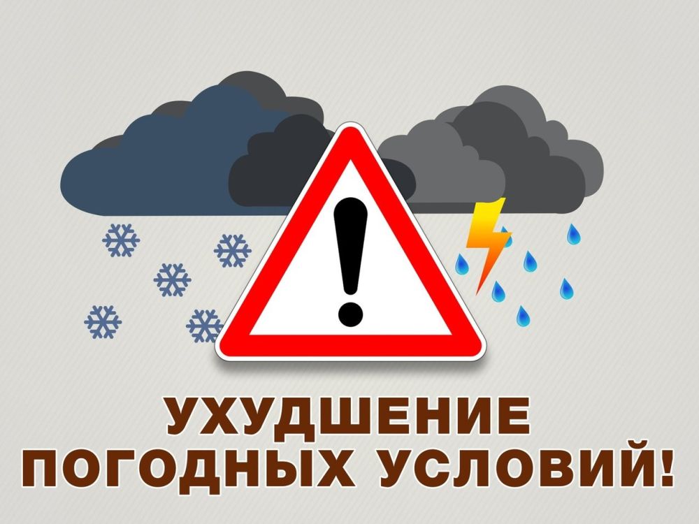       10, 11  12    : ,  , , 11  12     ,   , , 