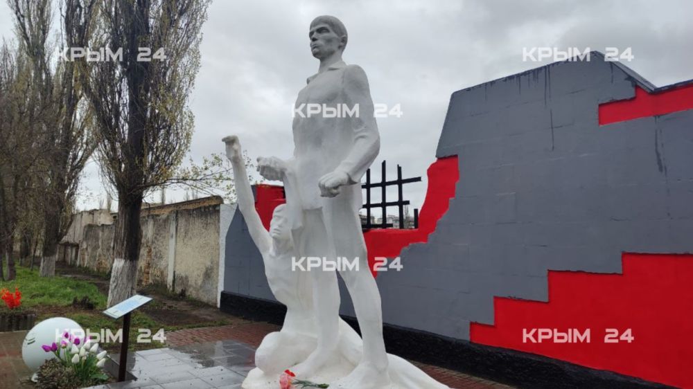          81-   