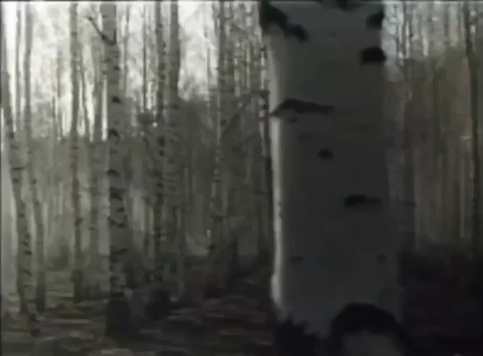  : 12  1961             -1