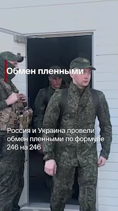    :.                        246  246   ...