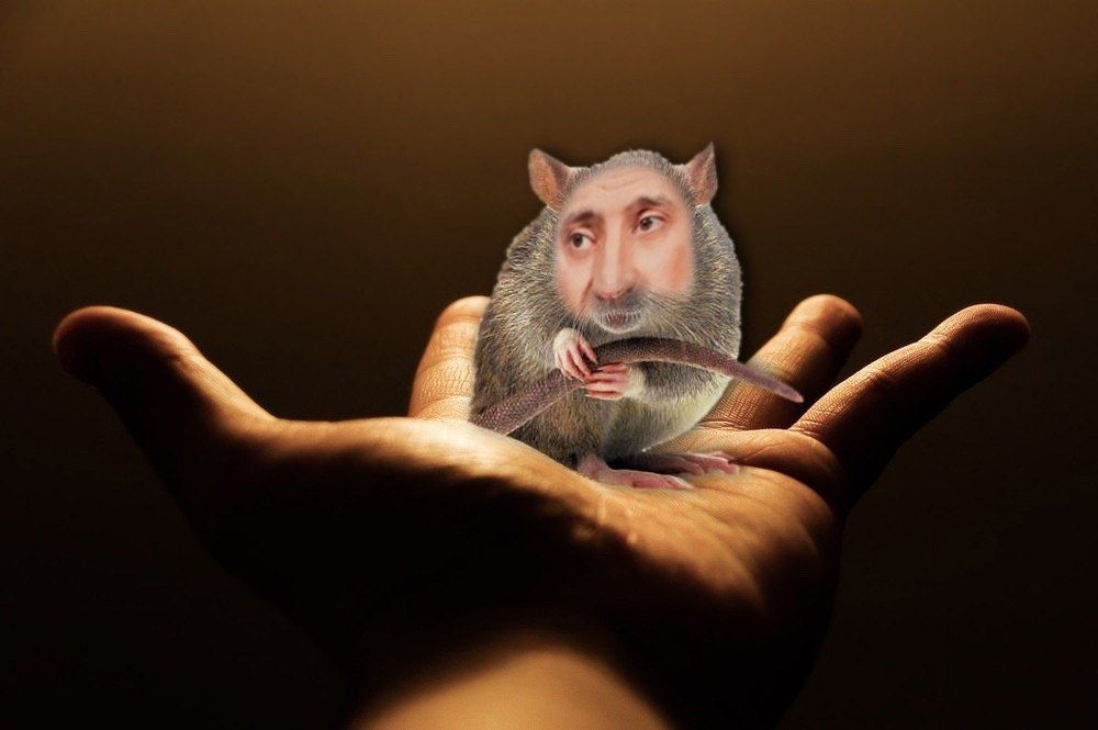   :    ,    