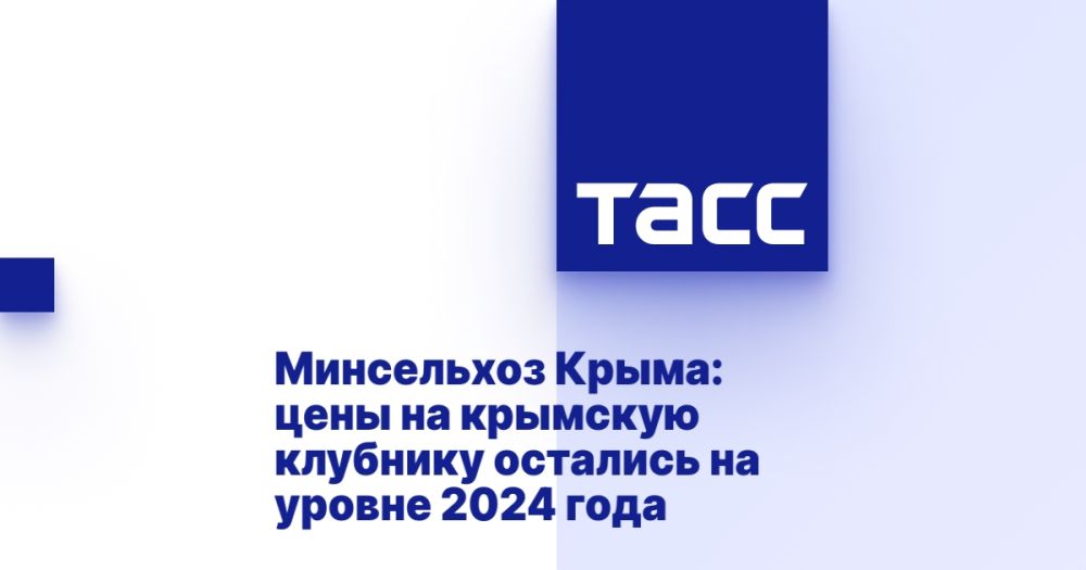  :        2024 