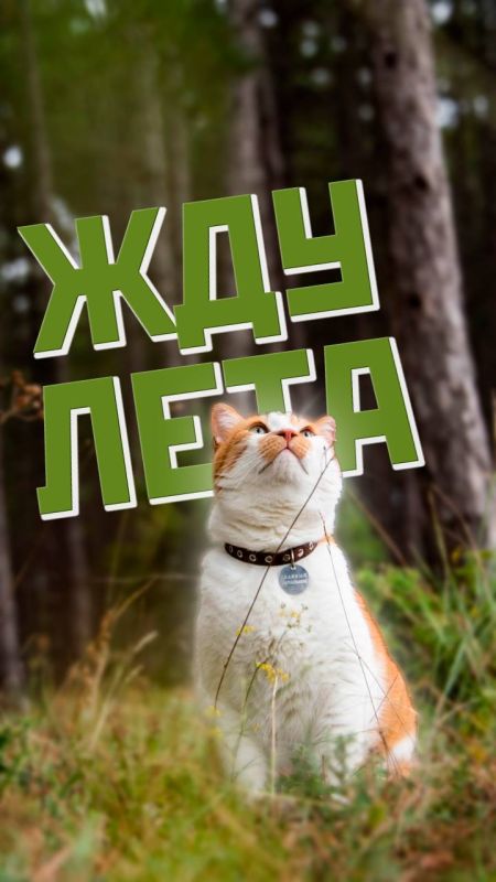  : , , !.       