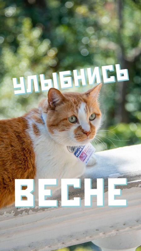  : , , !.       