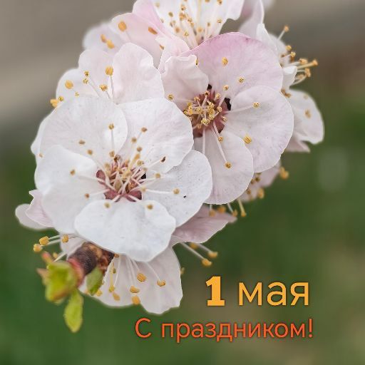  :       !