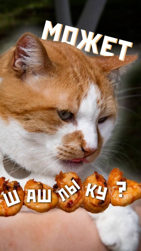  : , , !.       