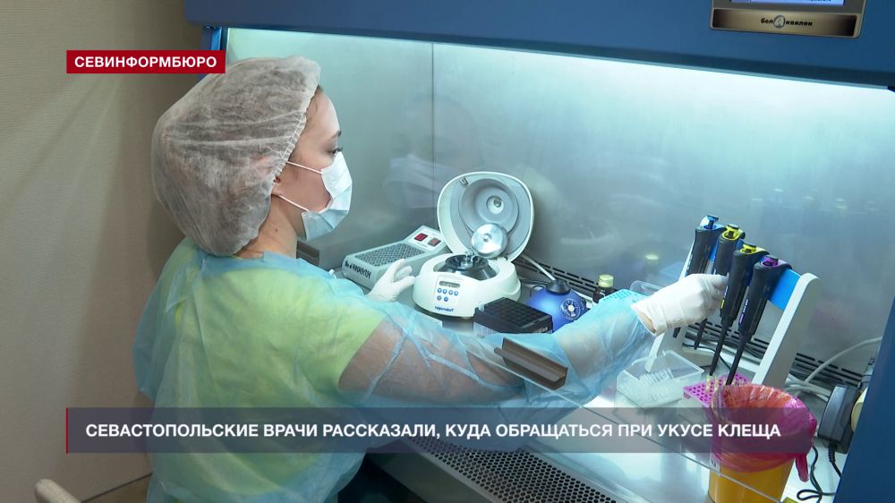 Основные события недели в Севастополе: 28 апреля - 4 мая Основные события недели в Севастополе: 28 апреля - 4 мая
