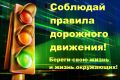 Проходит оперативно-профилактическое мероприятие «Перекресток»
