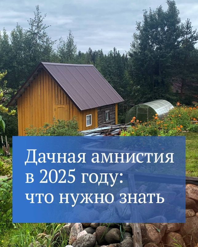  :        :  1  2031          