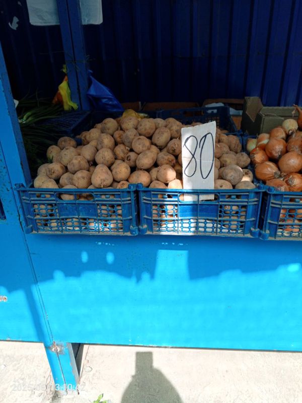 Мониторинг цен на овощную продукцию Мониторинг цен на овощную продукцию