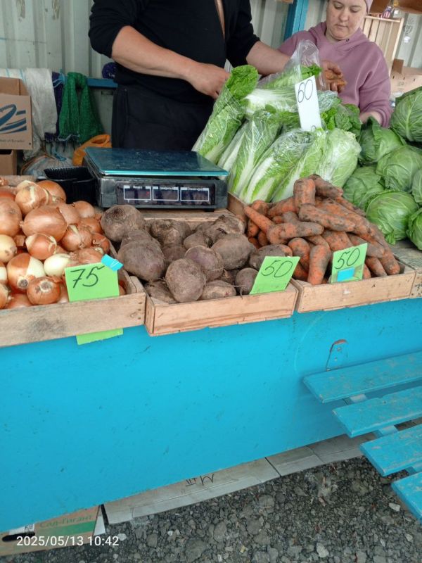 Мониторинг цен на овощную продукцию Мониторинг цен на овощную продукцию