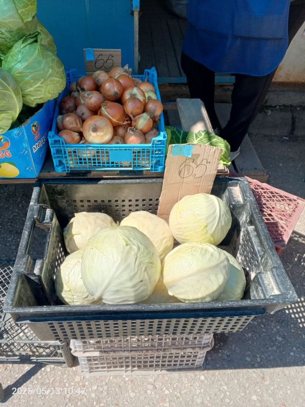 Мониторинг цен на овощную продукцию Мониторинг цен на овощную продукцию