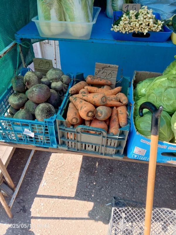 Мониторинг цен на овощную продукцию Мониторинг цен на овощную продукцию