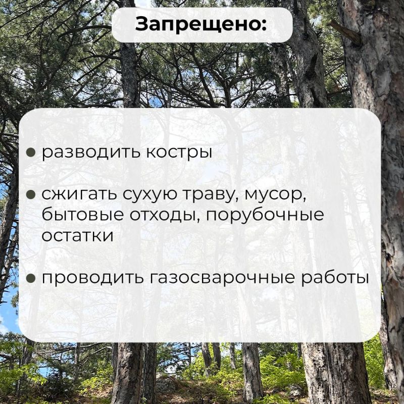  :                   