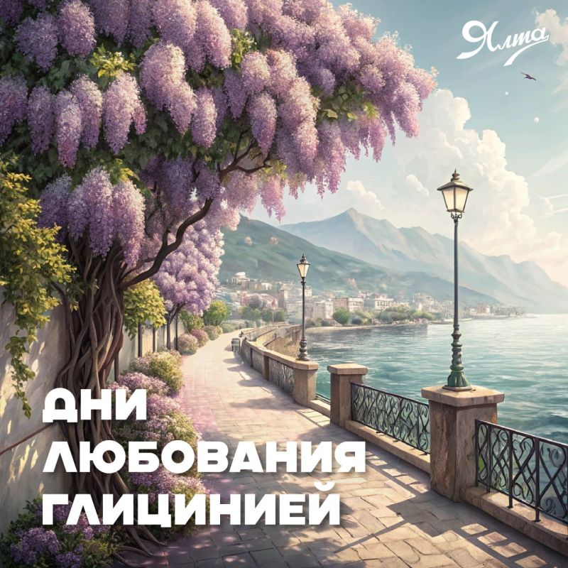 Фестиваль «Дни любования глицинией» проходит в Ялте