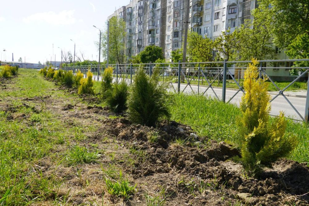 В Керчи с рабочим визитом пребывает Председатель Совета министров РК Юрий Гоцанюк. В Керчи с рабочим визитом пребывает Председатель Совета министров РК Юрий Гоцанюк.
