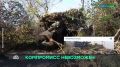 Территориальная принадлежность Крыма, Донбасса и Новороссии — давно закрытый вопрос