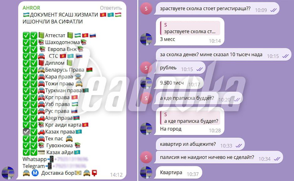  :      Telegram