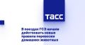 В поездах ГСЭ начали действовать новые правила перевозки домашних животных