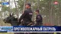 Сотрудники МВД и Севрприроднадзора приступили к патрулированию лесной зоны в районе Мекензиевых гор