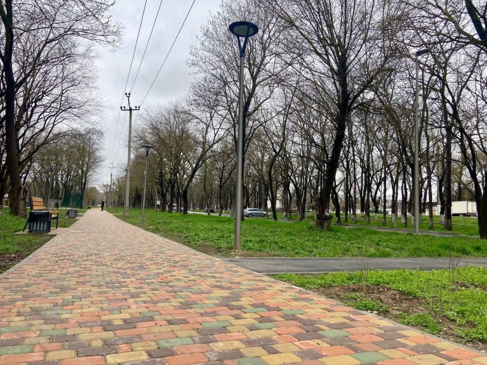 Из неухоженных зарослей в популярную территорию для отдыха и прогулок Из неухоженных зарослей в популярную территорию для отдыха и прогулок