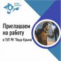 В ГУП РК «Вода Крыма» на постоянную работу требуются: