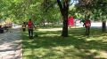 В Симферополе продолжается покос травы