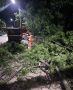 В Ялте ликвидируют последствия ночной бури