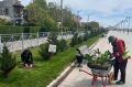 Александр Юрьев: На набережной им. Терешковой и в сквере Ашика Умера высадили канны