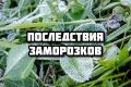 ПРЯМОЙ ЭФИР. 23 мая 2025 года в 17:00 в официальной группе Минсельхоза ВКонтакте планируется проведение прямого эфира министра сельского хозяйства Республики Крым Дениса Кратюка