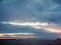Роспотребнадзор: на части побережья Черного моря нормализовались вода и песок