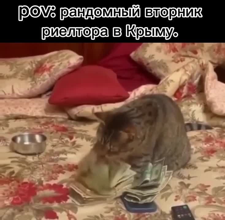 Цены на недвижимость в Крыму вырастут в ДВА РАЗА в течение года