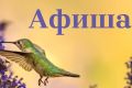 План культурных и спортивных мероприятий с 26 мая по 1 июня